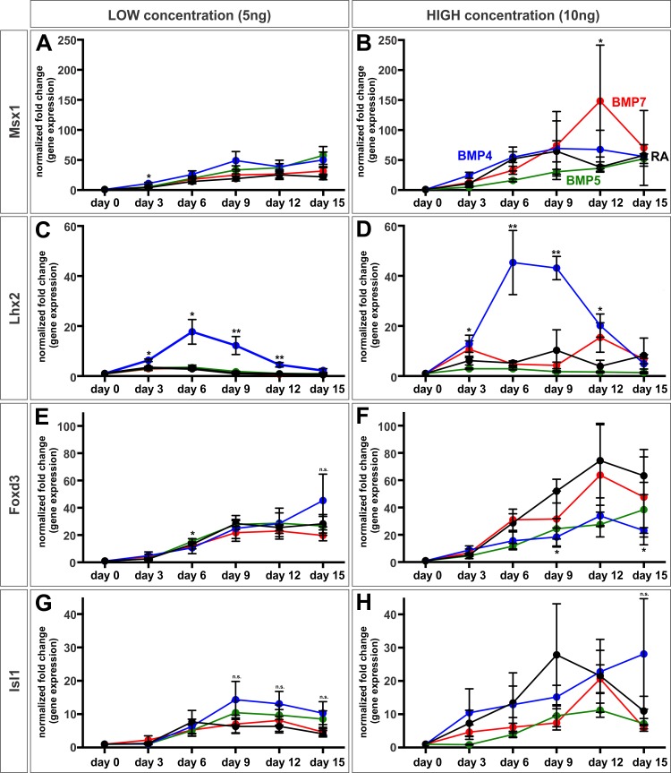 Figure 4—figure supplement 1.