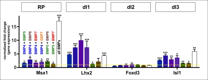 Figure 3—figure supplement 2.