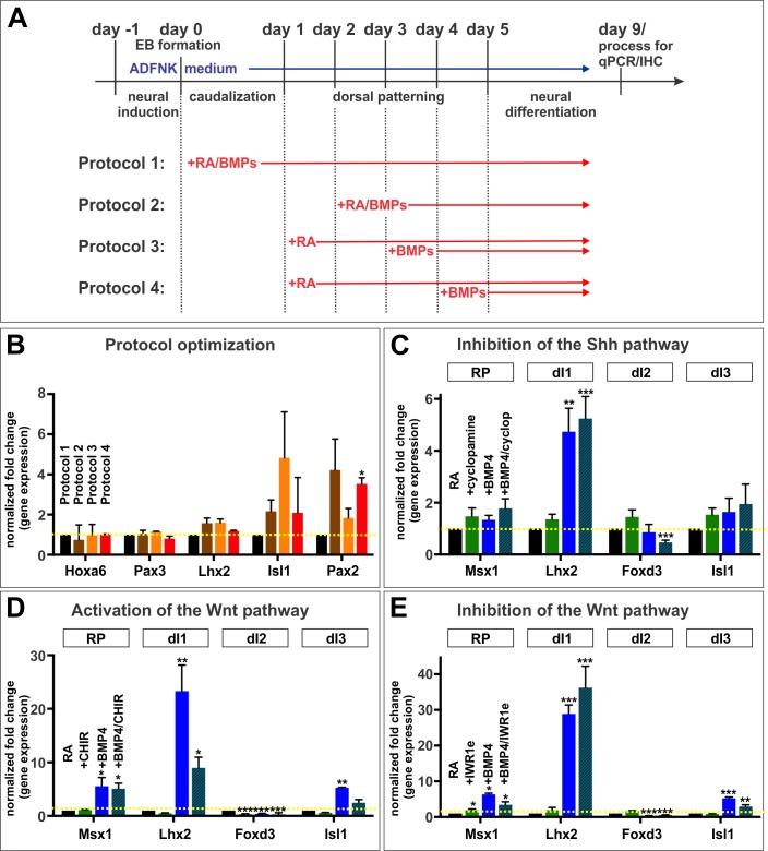 Figure 3—figure supplement 1.