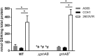 FIG 3