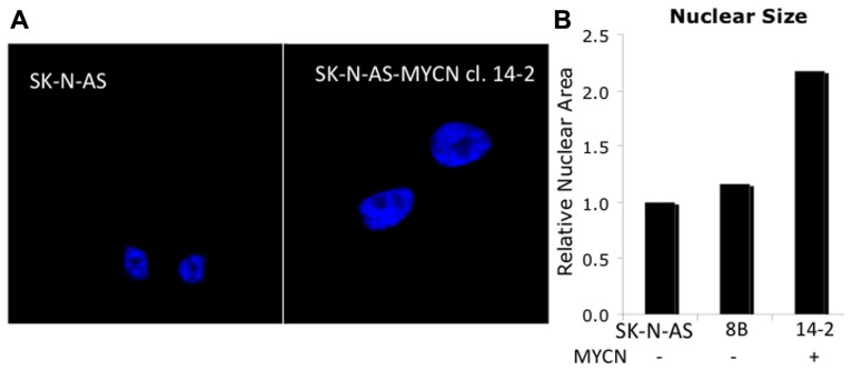 FIGURE 3