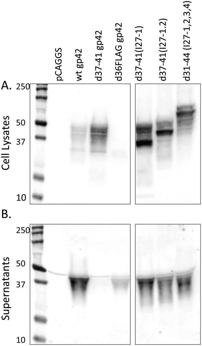 FIG 2 