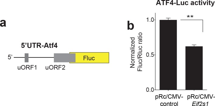 Figure 2—figure supplement 3.