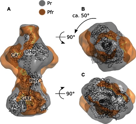 Fig. 6