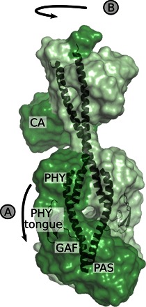 Fig. 7