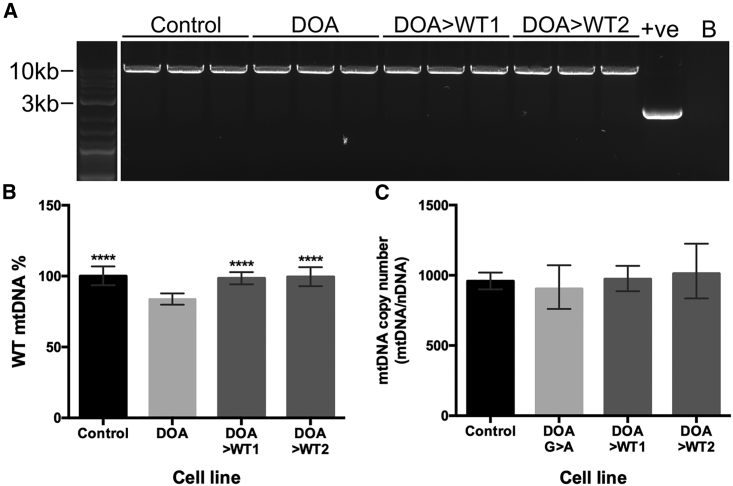 Figure 4