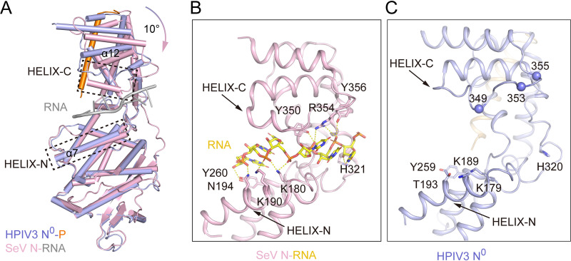 FIG 4