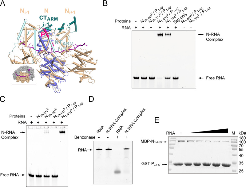 FIG 6