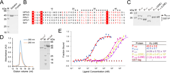 FIG 2