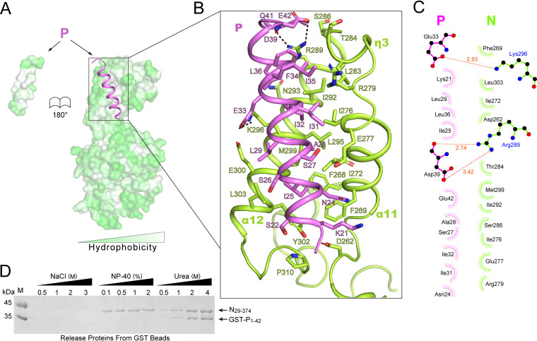 FIG 3