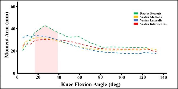 A graph of a person's knee flexion angle Description automatically generated