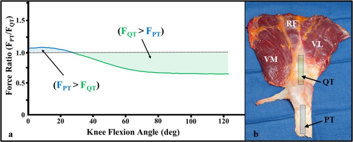 A graph of a curved line Description automatically generated