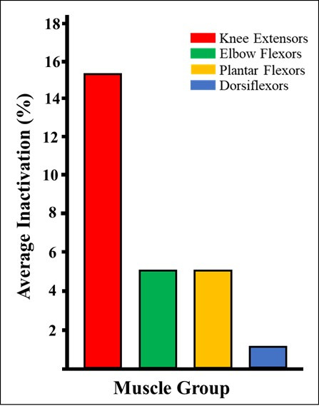 A graph of different colored bars Description automatically generated