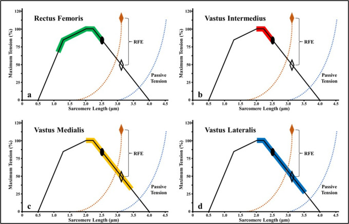 A group of graphs showing different types of functions Description automatically generated with medium confidence