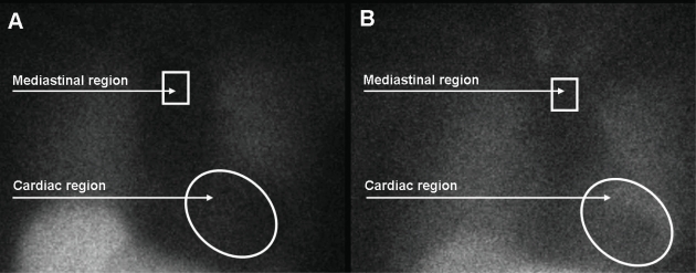 Fig. (4)