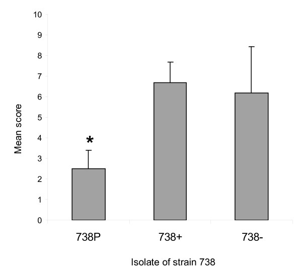 Figure 7