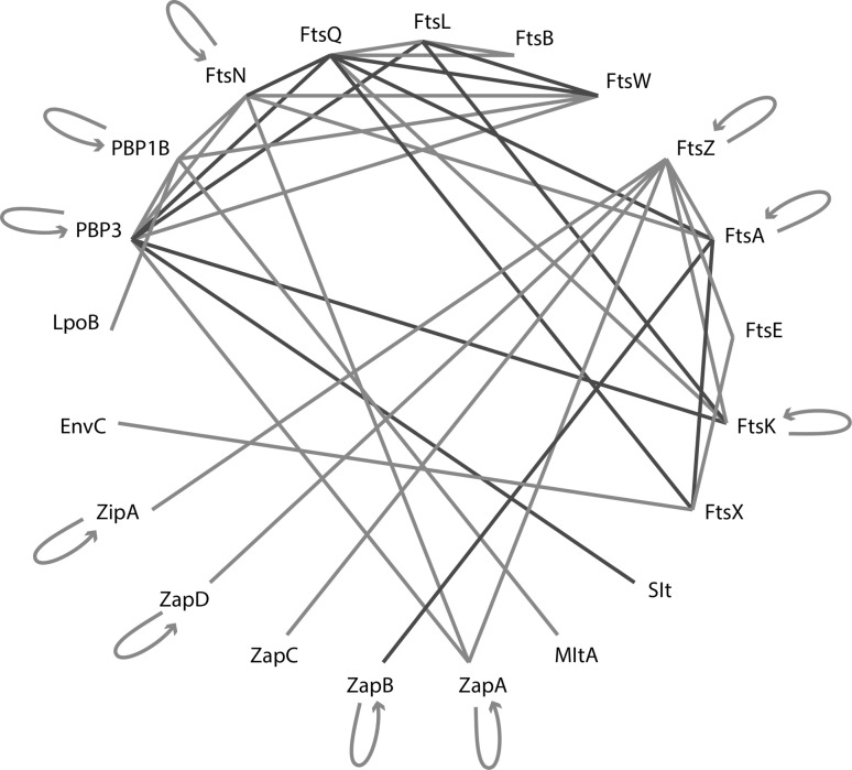 Fig. 3