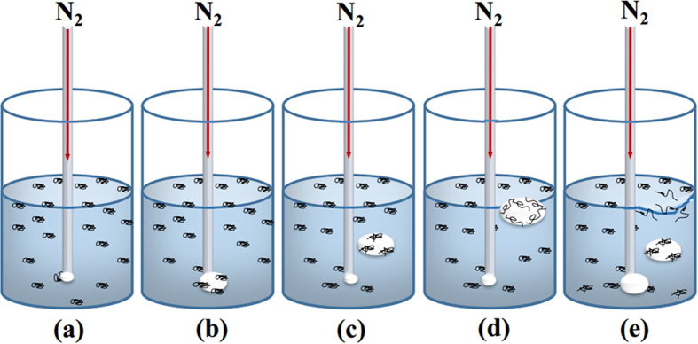 Figure 9