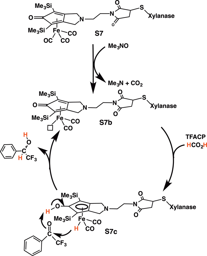 Scheme 2.