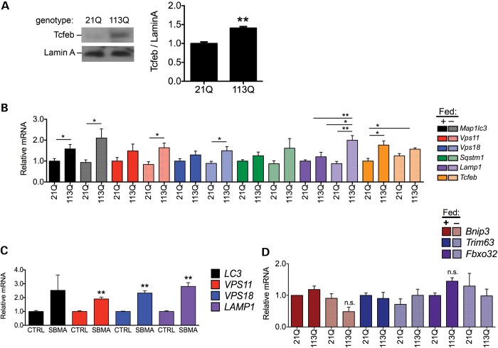 Figure 4.