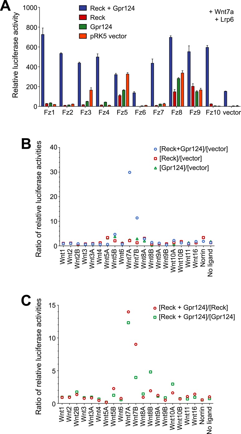 Figure 4—figure supplement 1.