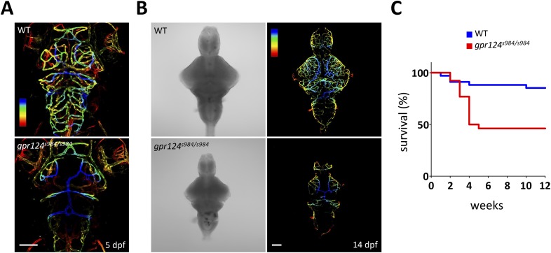 Figure 1—figure supplement 2.