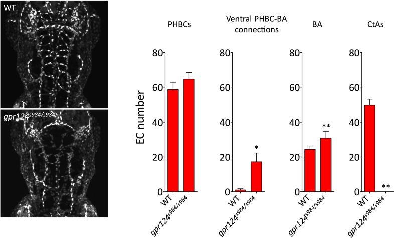 Figure 6—figure supplement 1.