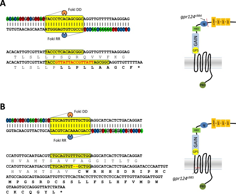 Figure 1—figure supplement 1.