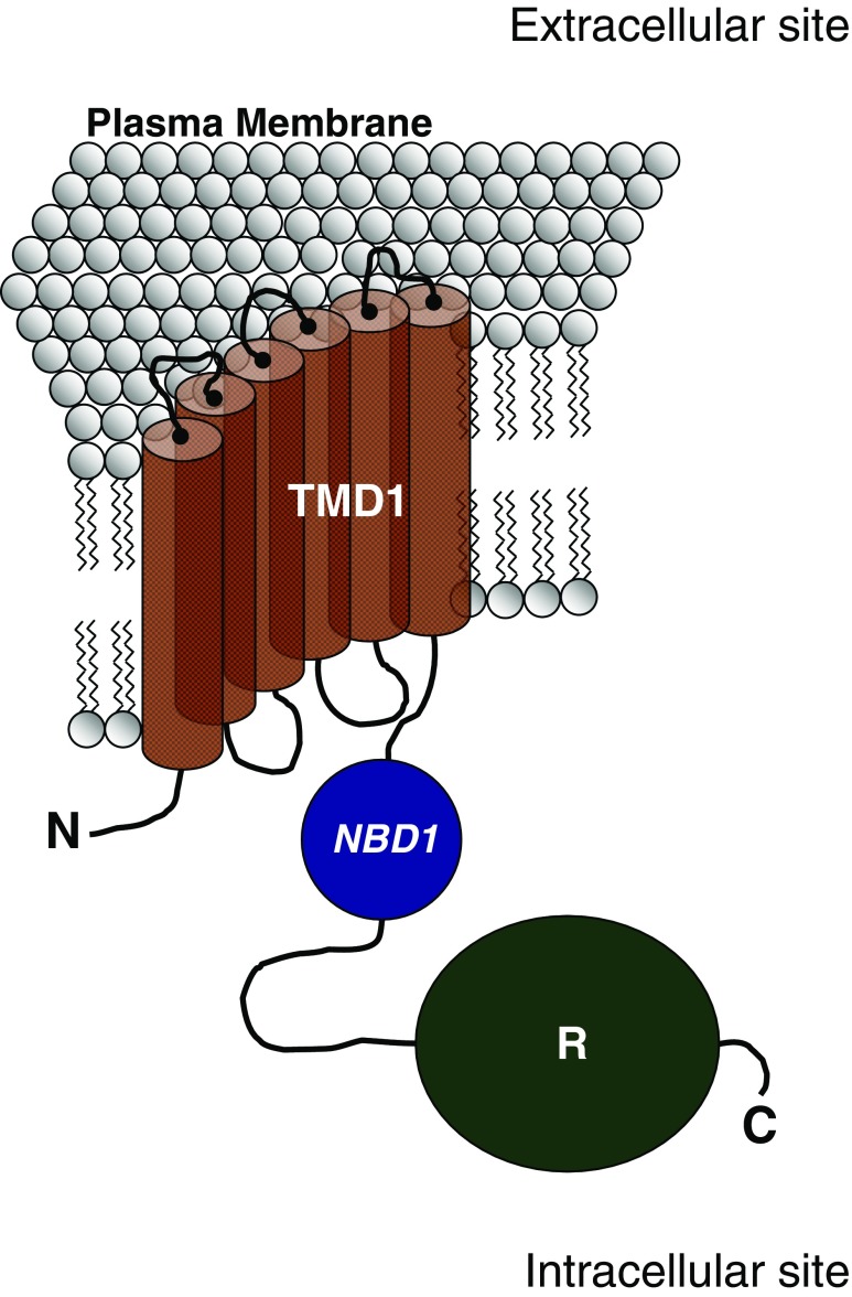 Fig. 3