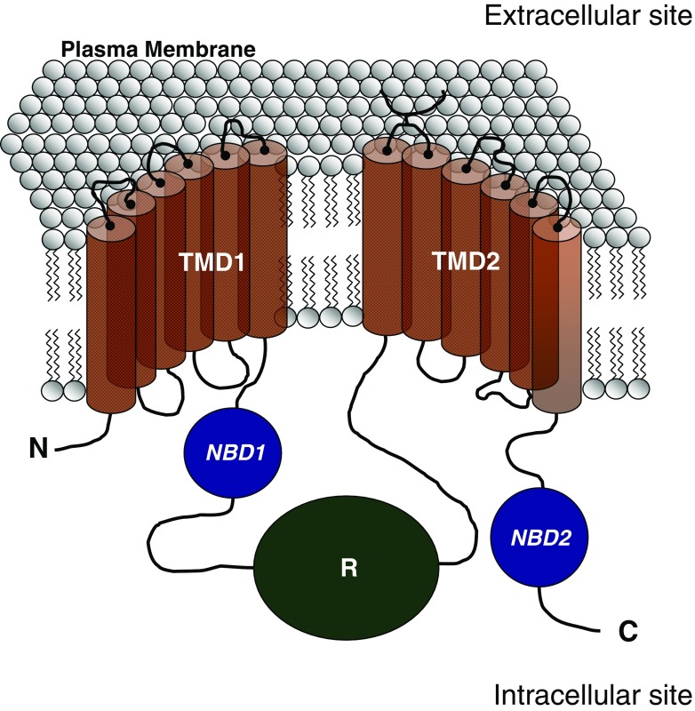 Fig. 1