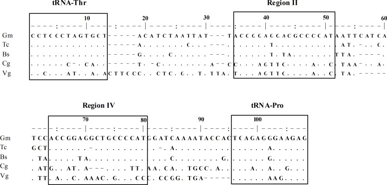 Fig 5