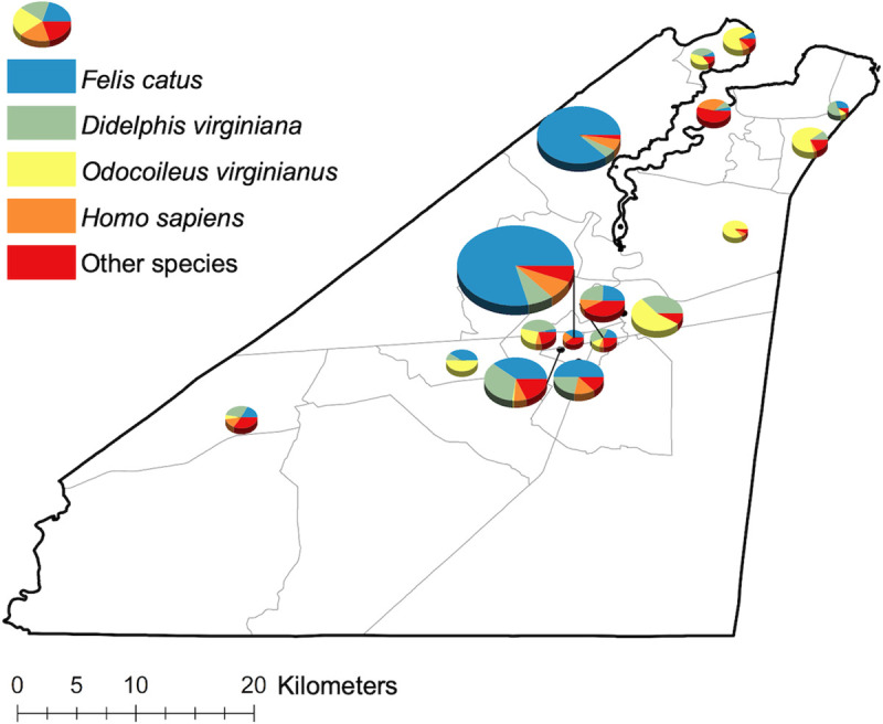 Fig 4