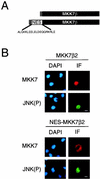 FIG. 11