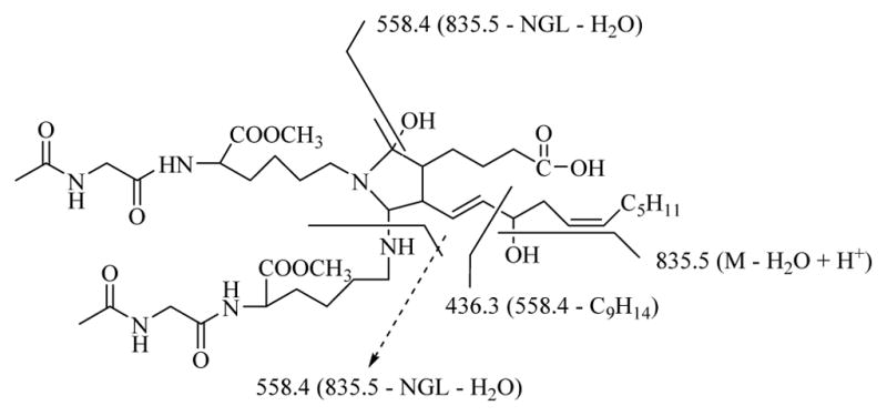 Scheme 3