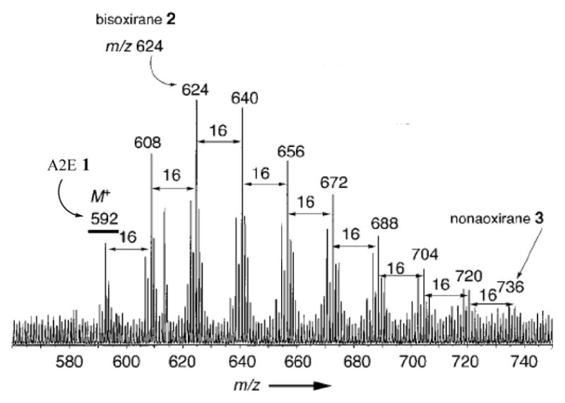 Figure 12