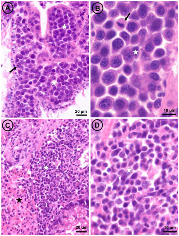 Fig. 4: