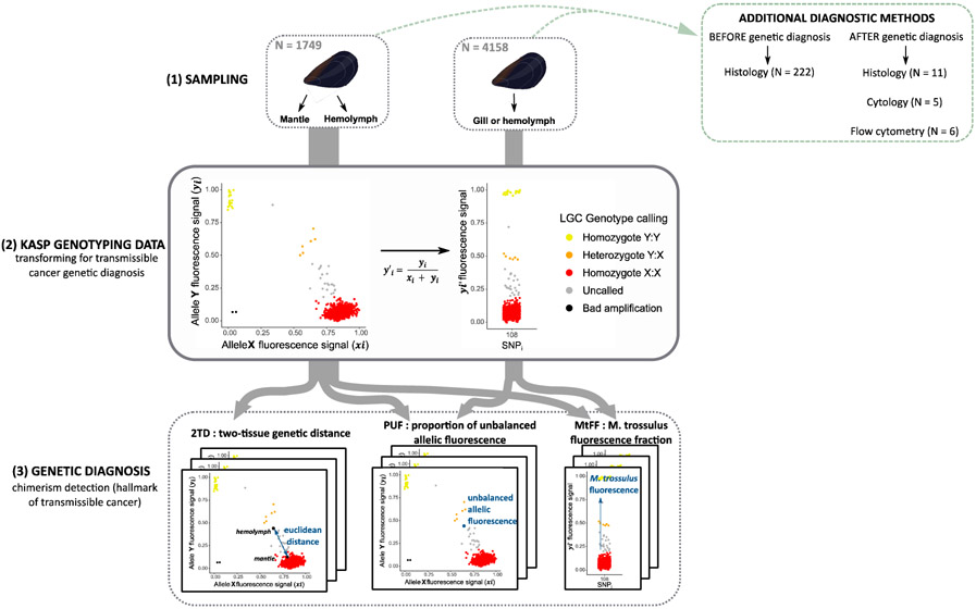 Fig. 2: