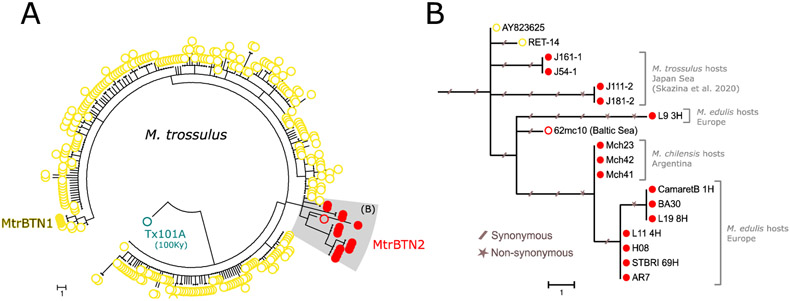 Fig 6: