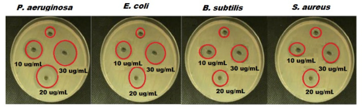 Figure 7