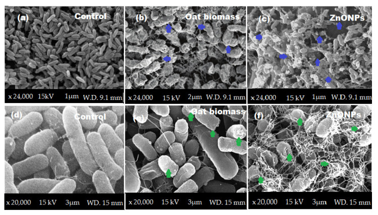 Figure 10