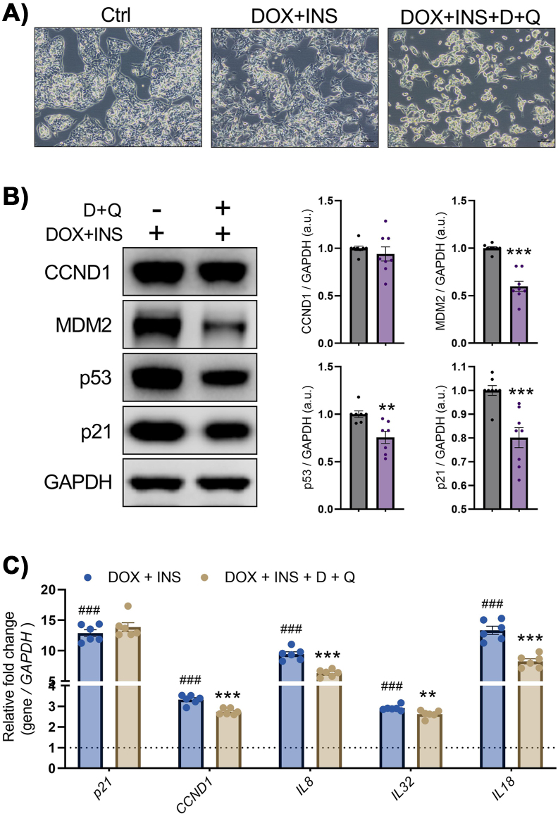 Figure 4