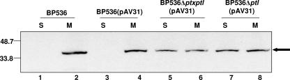 FIG. 5.