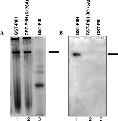 FIG. 7.