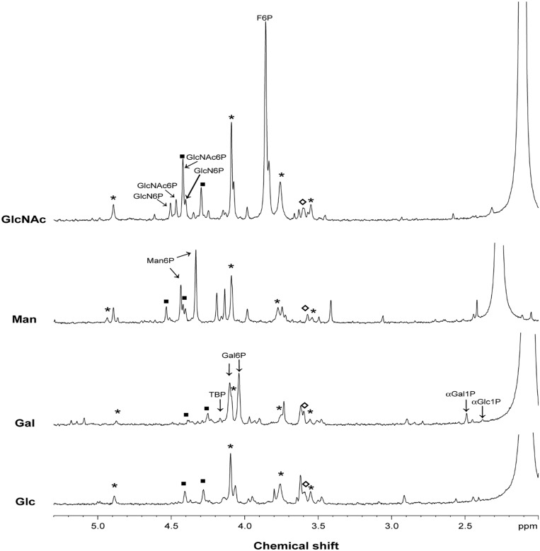 Fig 5