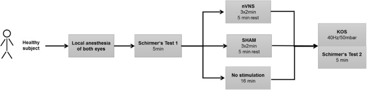 Fig. 1 (abstract P105).