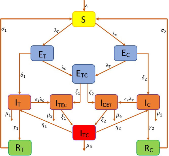 Fig. 1