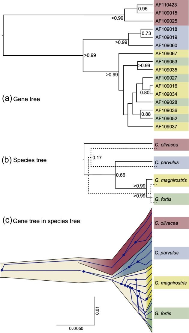 FIG. 3