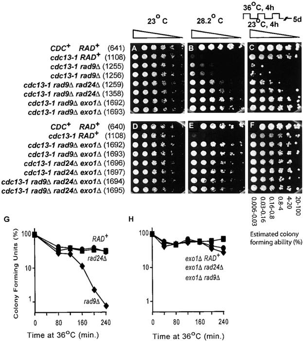 Figure 3.—