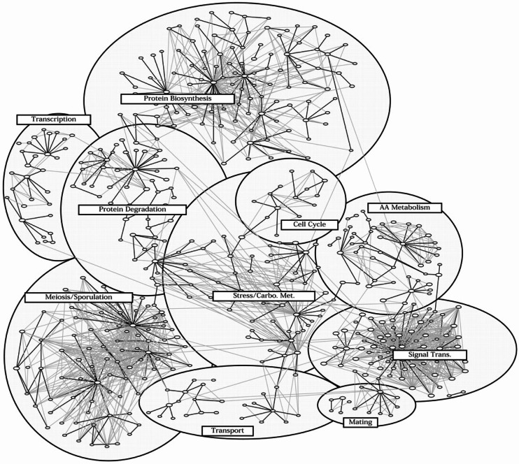 Fig. 1