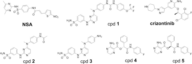 Fig 2